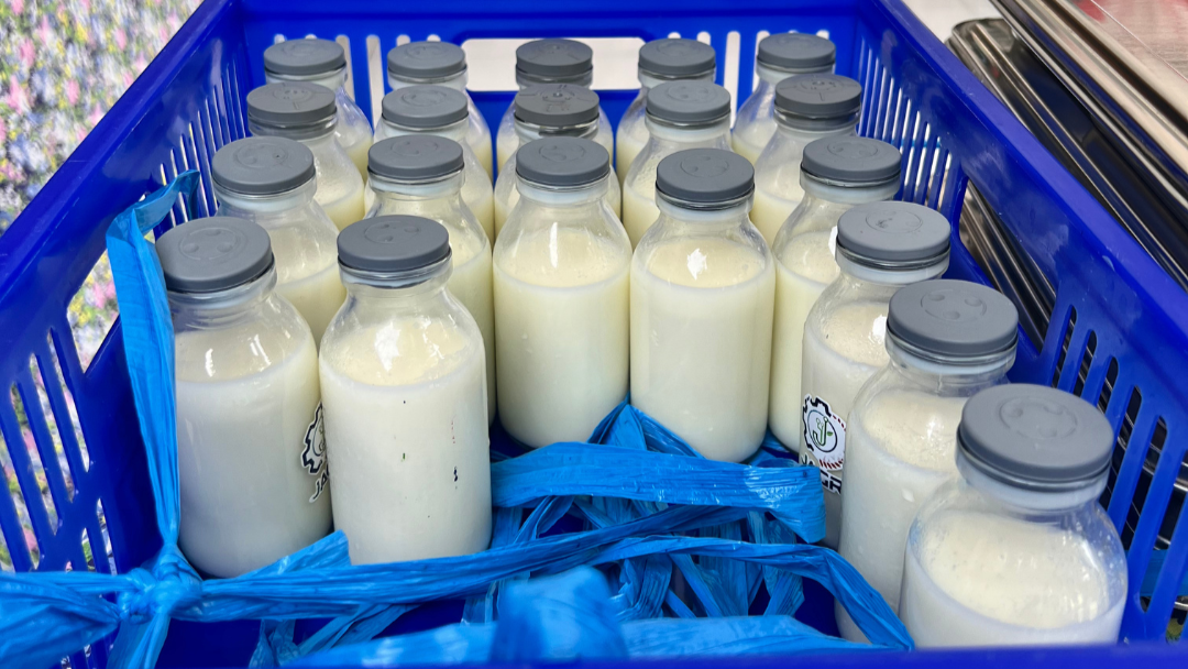 Penjelasan BGN Kepahiang Soal Manfaat Susu Sebagai Pelengkap Gizi Anak